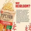 Spicy Cheddar Mini Popcorn Snack Size 24-Pack